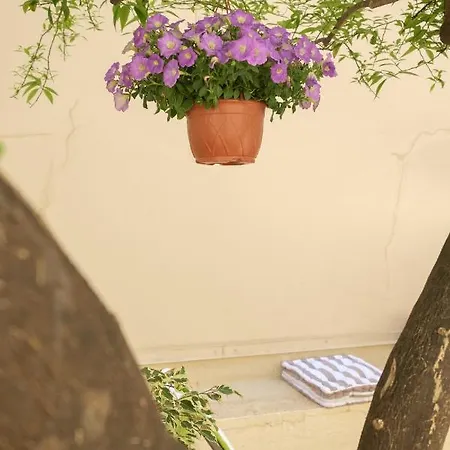 With Courtyard In Beating Heart Of Old Town! Apartment